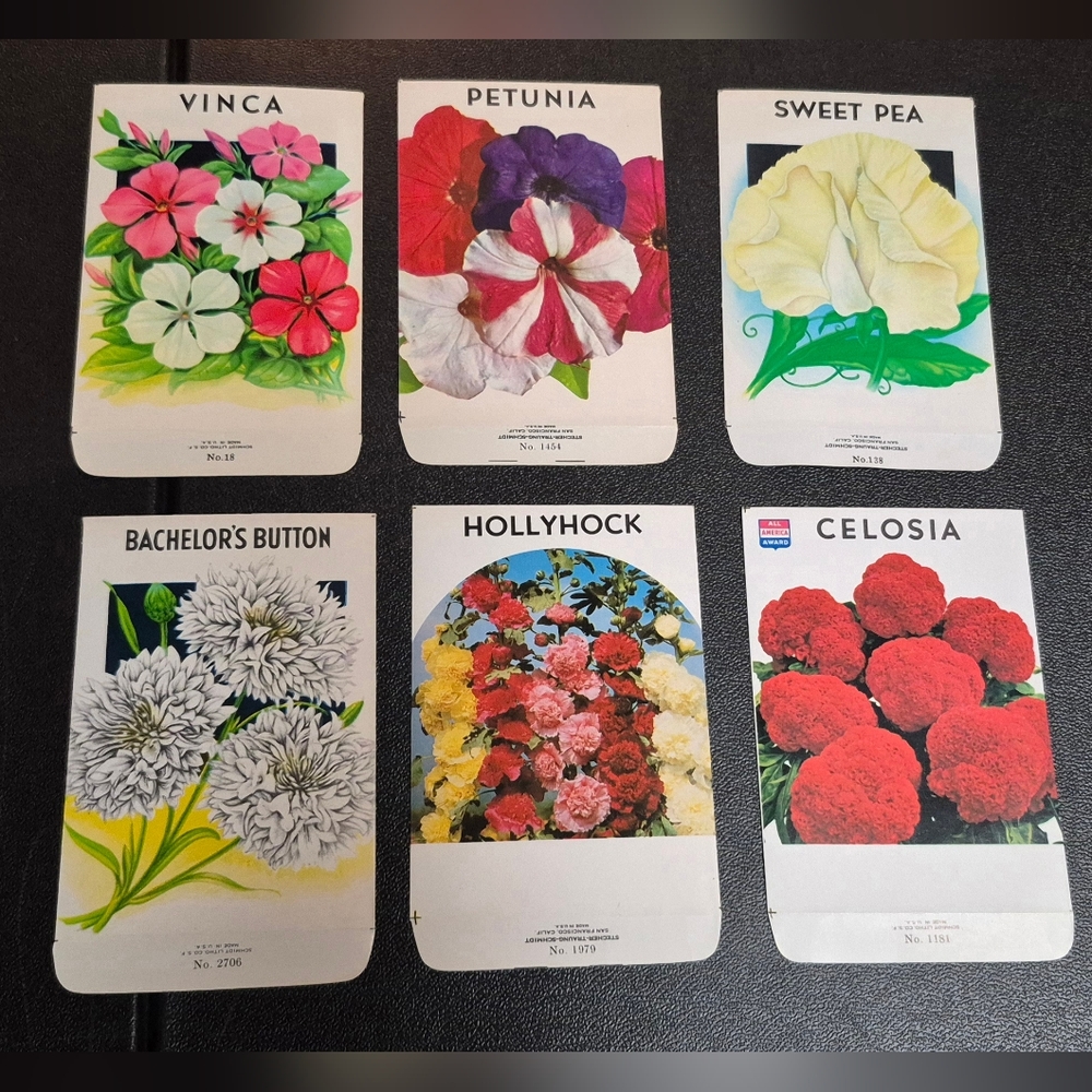 Vintage Seed Package Lot of 6, Unused NOS Flower Lithograph Farmhouse 1950s Art